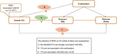 Is Hearing Impairment Causally Associated With Falls? Evidence From a Two-Sample Mendelian Randomization Study